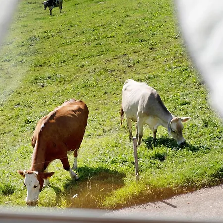 Willmannshof Holiday home