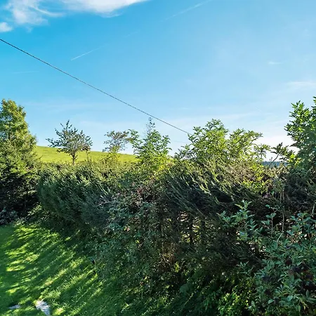 Willmannshof Holiday home *