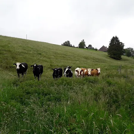 Willmannshof Holiday home